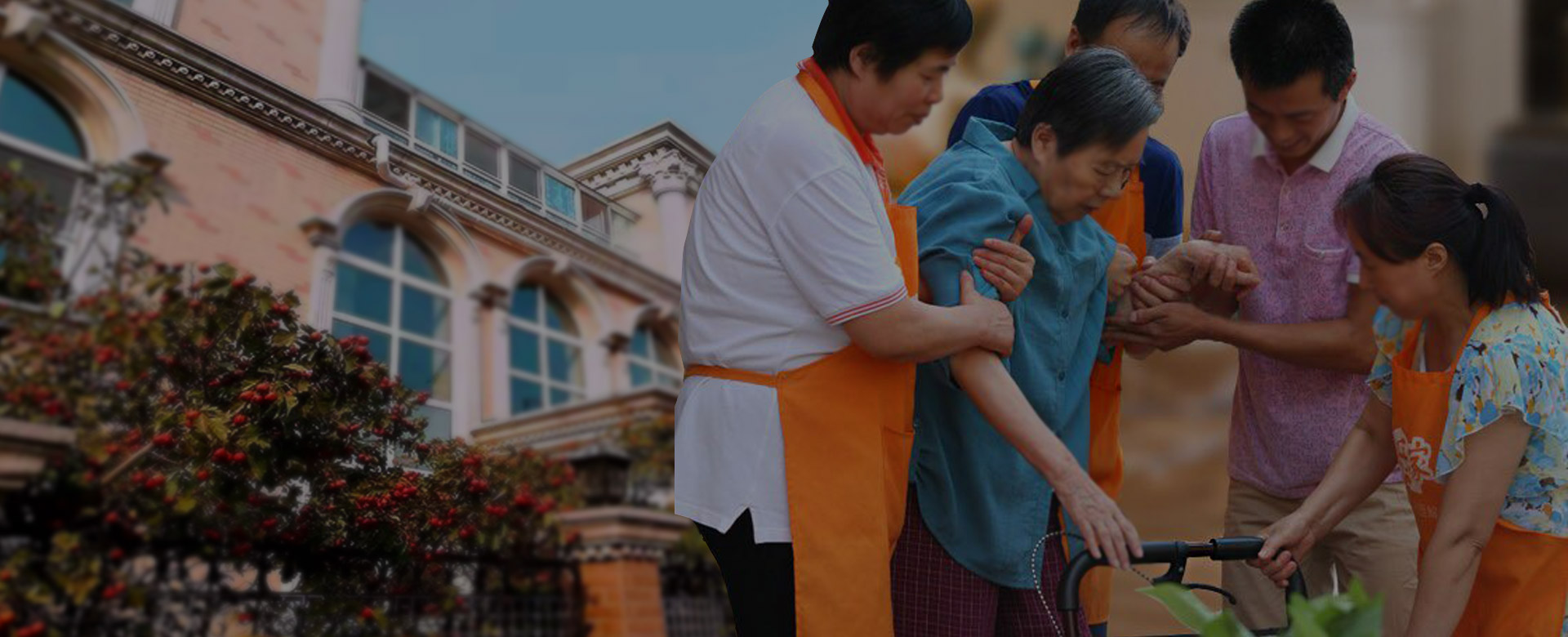 �ڲ��������רҵЧ��,����Ϊ��